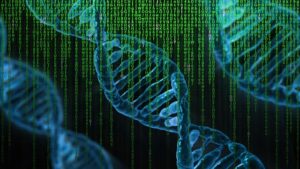 DNA sequencing human genome