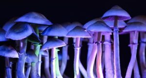 psilocybin-therapy-for-nicotine-addiction