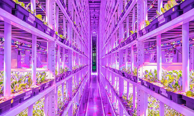 Indoor Vertical Farming – Potential To Disrupt Agriculture