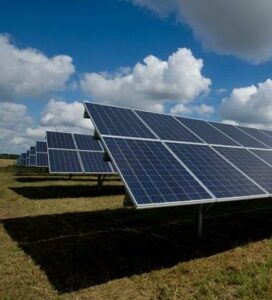 renewable energy powering vertical farms