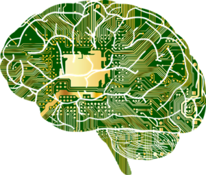 brain-computer interface evolution of human intelligence