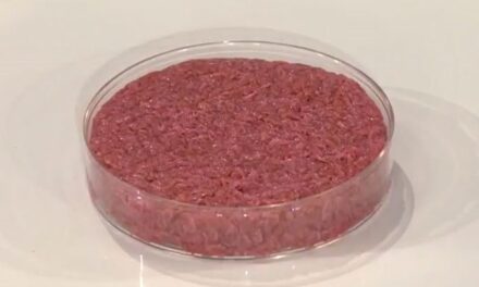 How Cultured Meat Could Revolutionize The Food Industry